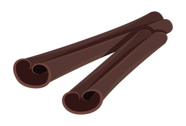 Beyaz arka planda izole edilmiş gerçekçi olgun tarçın - Vektör illüstrasyonu