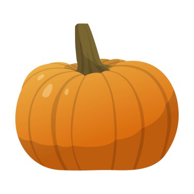 Beyaz arka planda izole edilmiş gerçekçi olgun balkabağı - Vektör illüstrasyonu