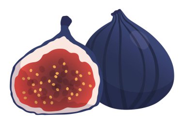 Beyaz arka planda gerçekçi olgun incirler - Vektör illüstrasyonu