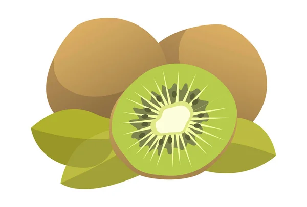 Realistische Kiwi Witte Achtergrond Vector Illustratie — Stockvector
