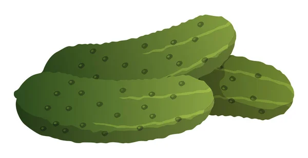 Realistische Rijpe Verse Komkommer Witte Achtergrond Vector Illustratie — Stockvector
