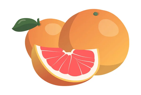 Realistische Frische Reife Grapefruit Isoliert Auf Weißem Hintergrund Vector Illustration — Stockvektor