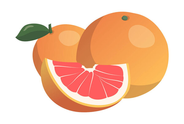 Realistic fresh ripe grapefruit isolated on white background - Vector illustration