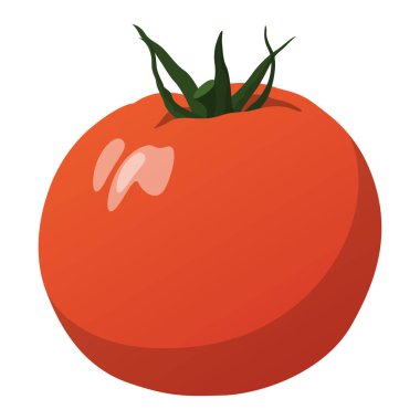 Beyaz arka plana karşı gerçekçi olgun domates - Vektör illüstrasyonu