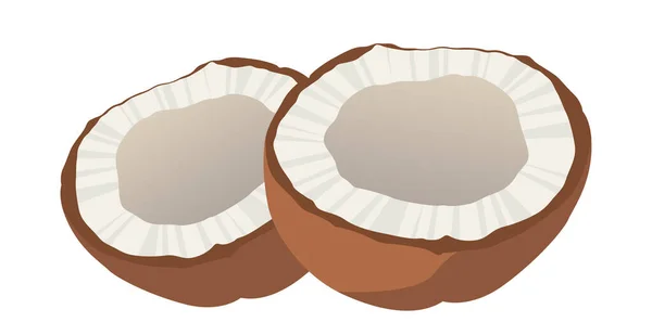 Realistic Fresh Coconut Coconut Milk White Background Vector Illustration — Stock Vector