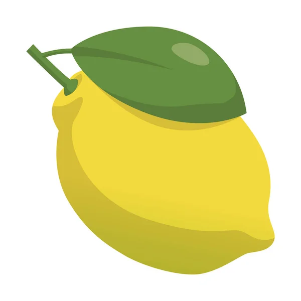 Citron Frais Mûr Réaliste Isolé Sur Fond Blanc Illustration Vectorielle — Image vectorielle