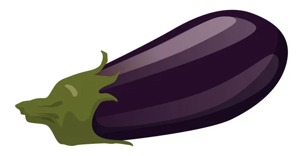 Eggplant Segar Realistis Yang Terisolasi Pada Latar Belakang Putih Vektor - Stok Vektor