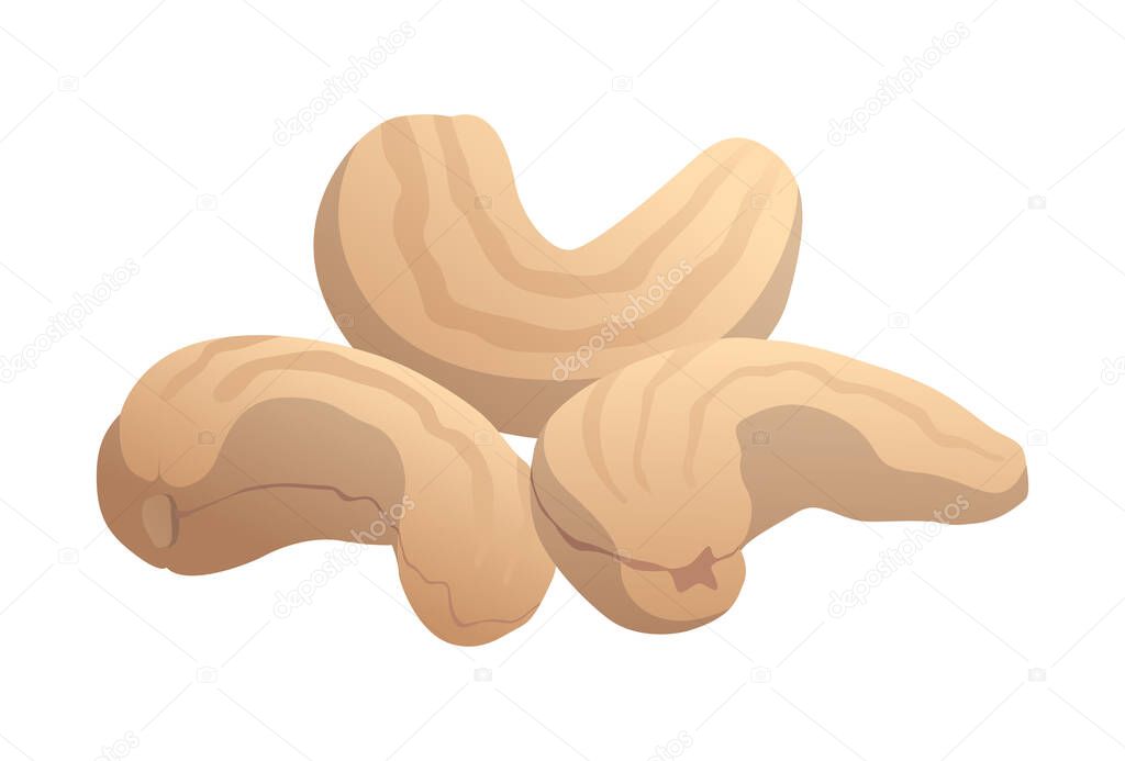 Realistic roasted cashew nuts on white background - Vector illustration