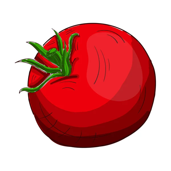 Realistic Fresh Ripe Tomato White Background Vector Illustration — Stock Vector