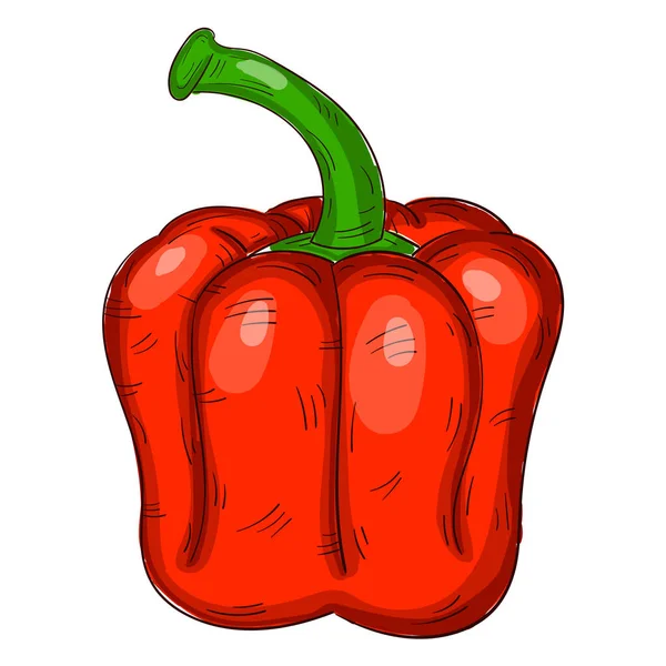 Realistische Frische Rote Paprika Auf Weißem Hintergrund Vector Illustration — Stockvektor