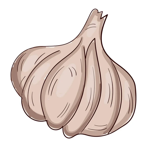 Realistische Verse Knoflook Geïsoleerd Witte Achtergrond Vector Illustratie — Stockvector