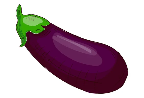 Eggplant Segar Realistis Yang Terisolasi Pada Latar Belakang Putih Vektor - Stok Vektor