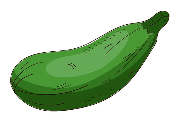 Realistik Matang Zucchini Segar Diisolasi Latar Belakang Putih Vektor Ilustrasi - Stok Vektor