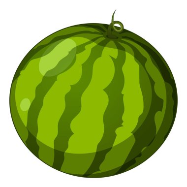 Beyaz arka planda izole edilmiş gerçekçi büyük karpuz - vektör illüstrasyonu