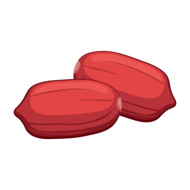 Gerçekçi kavrulmuş fıstık ezmesi beyaz arka plan - Vektör illüstrasyonu