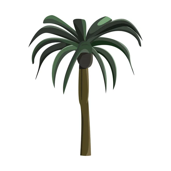 Palmera Verde Realista Aislada Sobre Fondo Blanco Ilustración Vectorial — Vector de stock