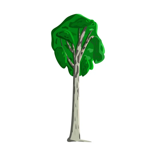 Realistische Grüne Birke Auf Weißem Hintergrund Vektorillustration — Stockvektor
