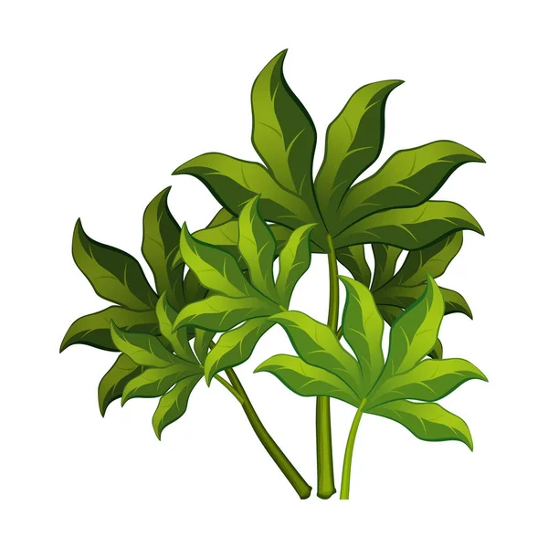Arbustes Verts Réalistes Sur Fond Blanc Illustration Vectorielle — Image vectorielle