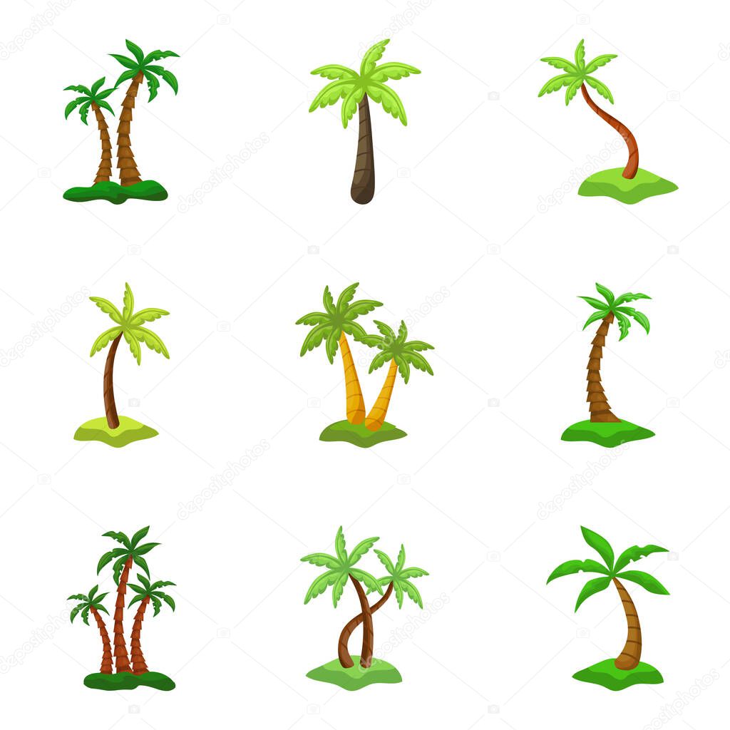 Set of 9 pcs palm trees on a white background - Vector illustration