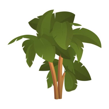 Beyaz arkaplanda izole edilmiş gerçekçi uzun yeşil palmiye ağaçları - vektör illüstrasyonu