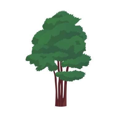 Beyaz arkaplanda izole edilmiş gerçekçi yeşil yapraklı çalı - Vektör illüstrasyonu