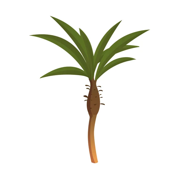 Realistisch Hoge Groene Palmboom Geïsoleerd Witte Achtergrond Vector Illustratie — Stockvector