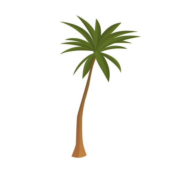 Realistic tall green palm tree isolated on white background - Vector illustration