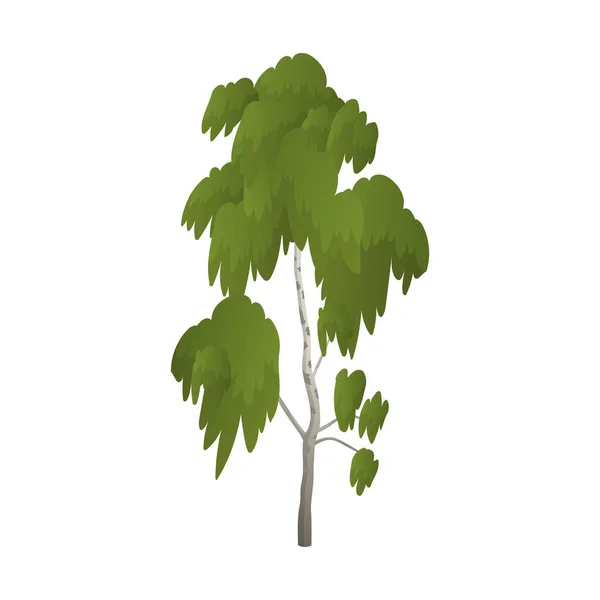 白色背景的现实的绿桦树 矢量图解 — 图库矢量图片