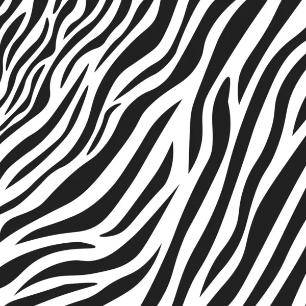 Textura Pele Zebra Preta Branca Ondulada Ilustração Vetorial — Vetor de Stock