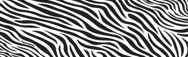 Textura Pele Zebra Preta Branca Ondulada Ilustração Vetorial — Vetor de Stock