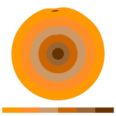 Turuncu 6 pc sıcak renk tonları - Vektör illüstrasyonu