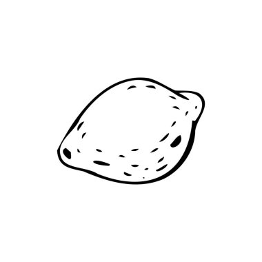 Beyaz arkaplanda limon ince siyah çizgiler - Vektör illüstrasyonu