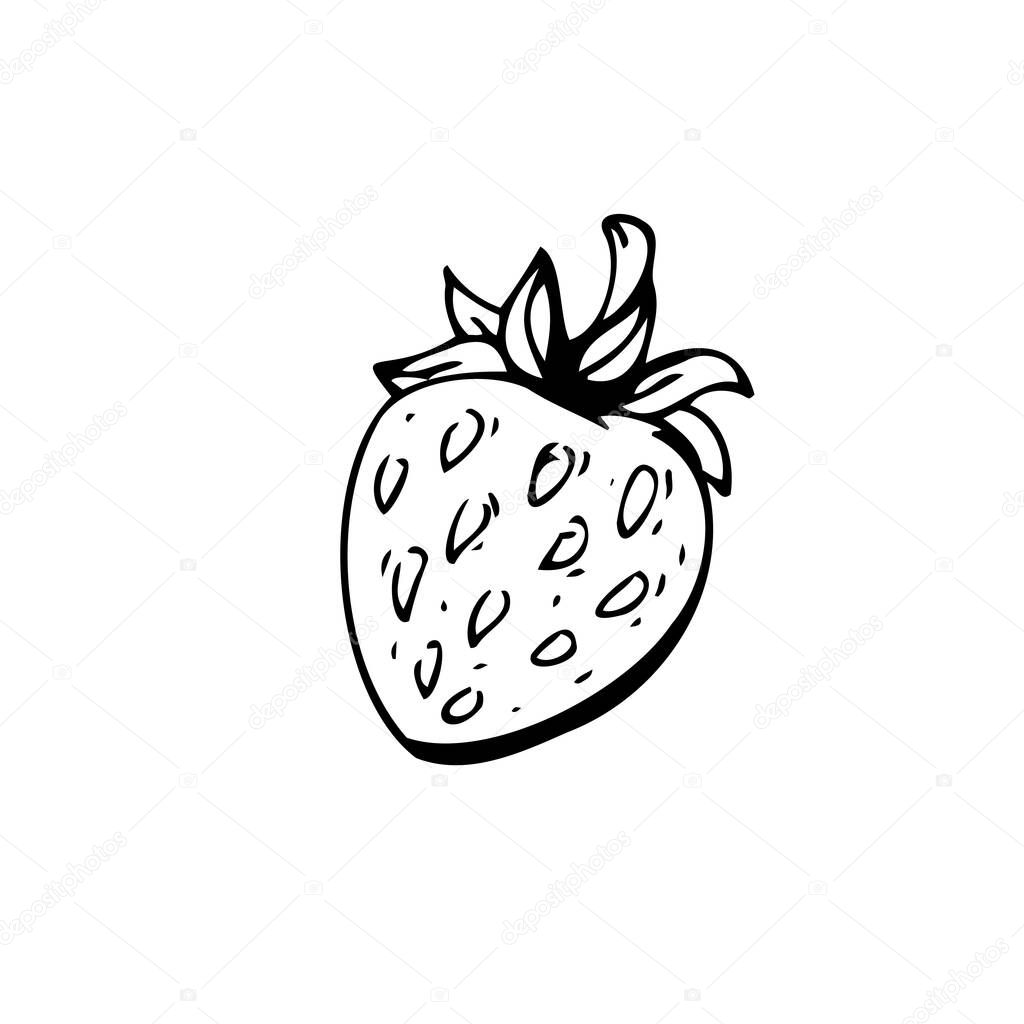Strawberry thin black lines on a white background - Vector illustration