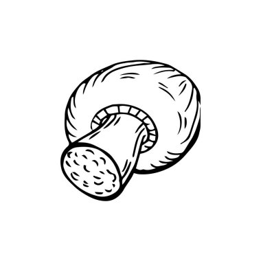 Şampiyon mantarı beyaz arkaplanda ince siyah çizgiler çiziyor - Vektör illüstrasyonu