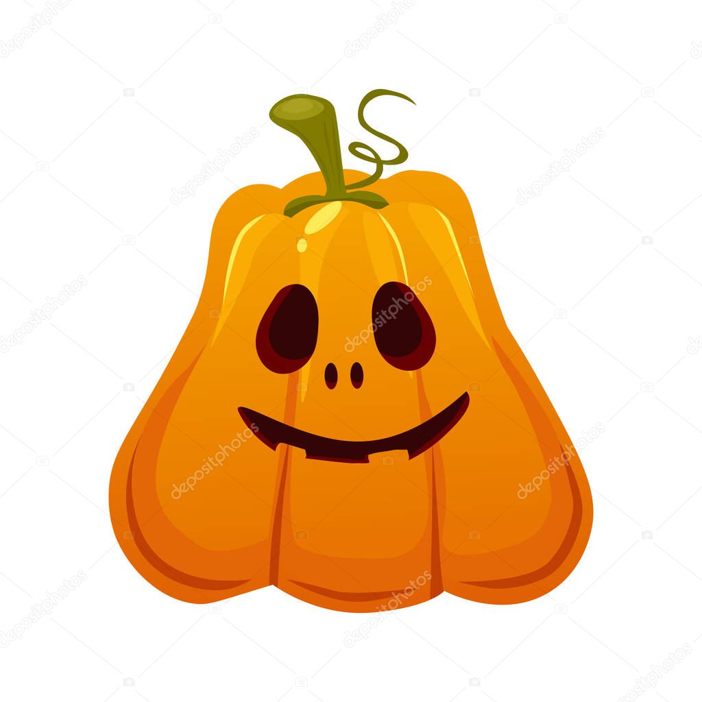 Realistic pumpkin for the holiday halloween on a white background - Vector illustration