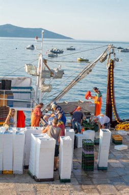 Moscenicka draga, Hırvatistan - 13 Ağustos 2021: Balıkçılar sabahın erken saatlerinde Moscenicka Draga limanında yakalamayı hallediyorlar.