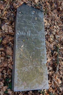 Kışın ormanda terk edilmiş eski bir Yahudi mezarlığı. Mezarlıktaki yaşlanmış mezar taşları veya mezar taşları.