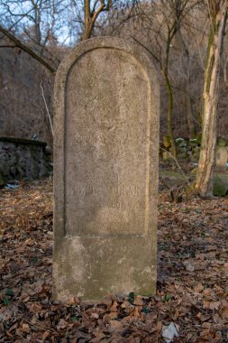 Kışın ormanda terk edilmiş eski bir Yahudi mezarlığı. Mezarlıktaki yaşlanmış mezar taşları veya mezar taşları.