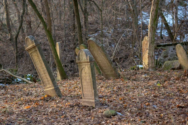 Gamla Övergivna Judisk Kyrkogård Skogen Vintern Åldrade Gravstenar Eller Gravstenar — Stockfoto