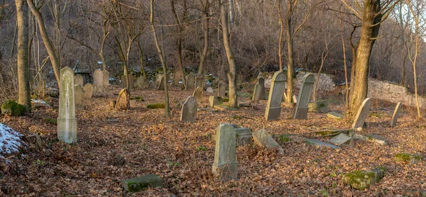 Starý Opuštěný Židovský Hřbitov Lese Zimě Staré Náhrobky Nebo Náhrobky — Stock fotografie