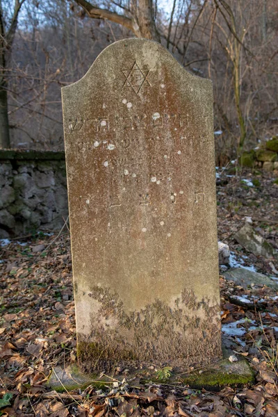 古老的废弃犹太人公墓在森林里 坟场中的古老墓碑或墓碑 — 图库照片