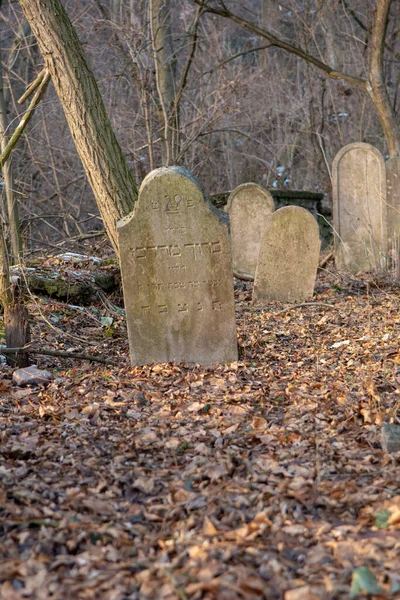 Gamla Övergivna Judisk Kyrkogård Skogen Vintern Åldrade Gravstenar Eller Gravstenar — Stockfoto