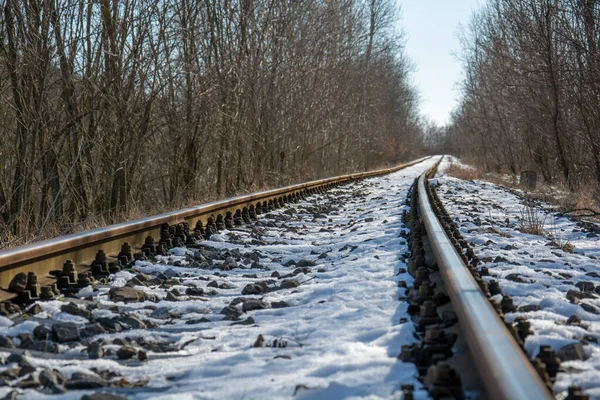 Railway Tracks Rural Scene Winter Selective Focus — Stock Photo, Image