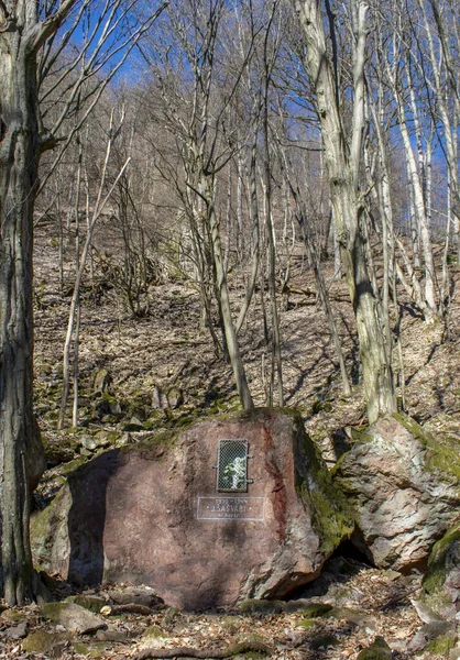 Kapel Van Sasvari Gebouwd Steen Het Bos Met Zijn Naam — Stockfoto