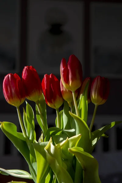 Bouquet Tulipes Rouges Tulipa Dans Vase Ferme Détail — Photo