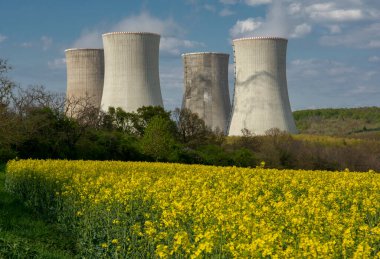 Sarı yakut, kanola ya da kolza tarlası olan nükleer enerji santrallerinin soğutma kuleleri. Mochovce. Slovakya.