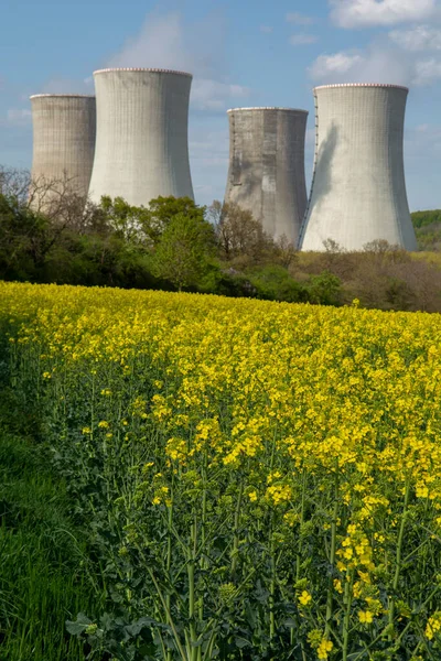 Cooling Towers Nuclear Power Plant Yellow Field Rapeseed Canola Colza — Stock Photo, Image