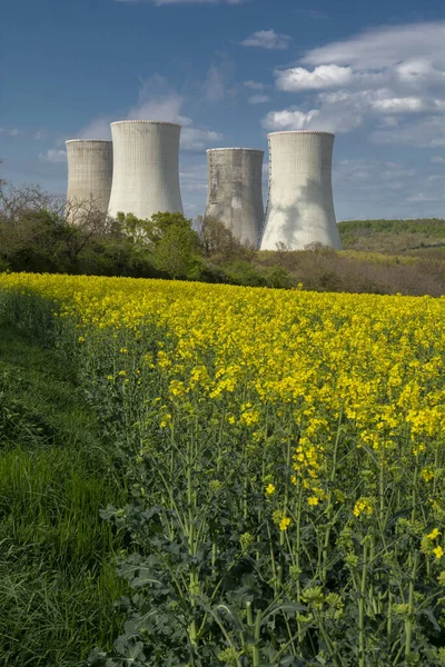 Cooling Towers Nuclear Power Plant Yellow Field Rapeseed Canola Colza — Stock Photo, Image