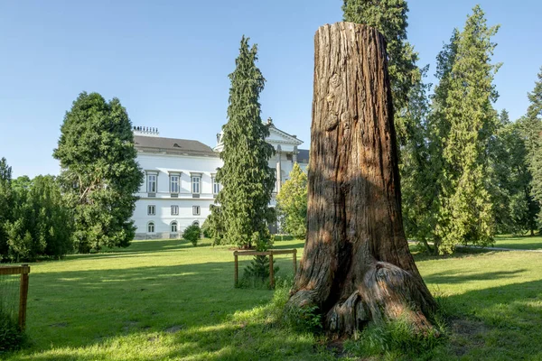 Klasicistní Zámek Zámek Topolcianckém Parku Slovensko — Stock fotografie