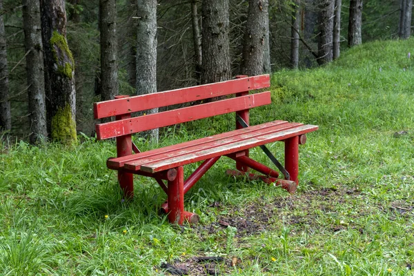 Red Wooden Bench Forest Dolomites Italy — 图库照片